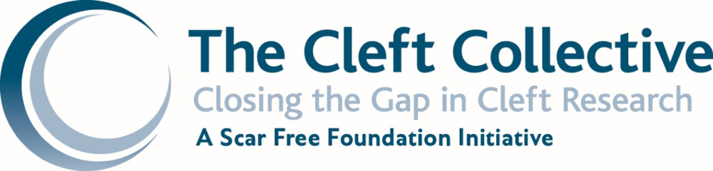 Cleft Collective Cleft Collective